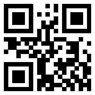 Il Qr Code di 3302482703