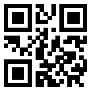 Il Qr Code di 3302482739