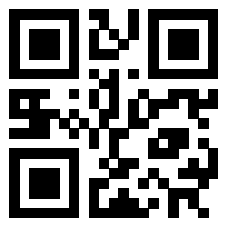 Il Qr Code di 3302482756