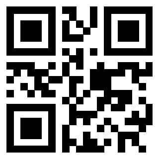 Il Qr Code di 3302482858
