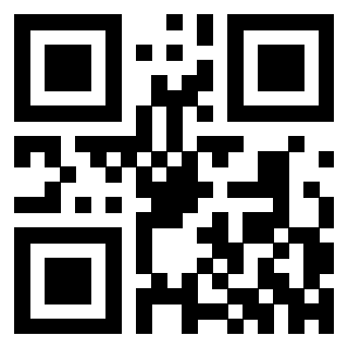 Il Qr Code di 3302482927