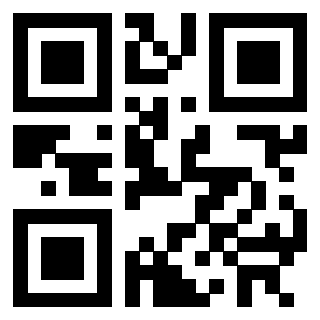 3302501419 - Immagine del QrCode
