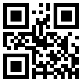 3302502013 - Immagine del Qr Code associato