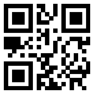 Il Qr Code di 3302502066