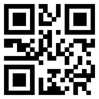 3302507013 QrCode associato