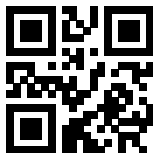 3302523165 - Immagine del QrCode