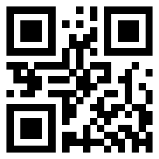 Il Qr Code di 3302523597