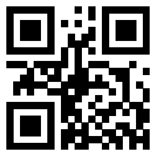 Il Qr Code di 3302523725