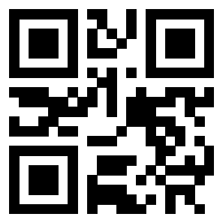 Il Qr Code di 3302523852