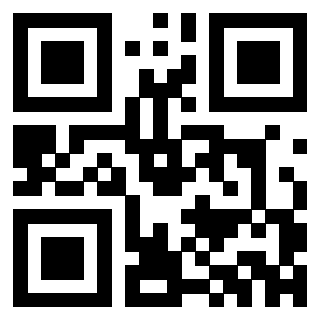 Il Qr Code di 3302523873