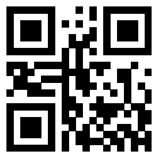 Il Qr Code di 3302523923