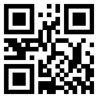 Il Qr Code di 3302529134