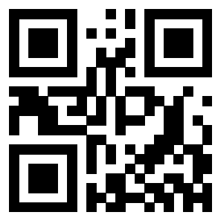 QrCode di 3302529279