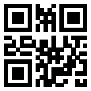 Il Qr Code di 3302529562
