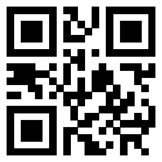Il Qr Code di 3302529584