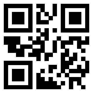 QrCode di 3302529787