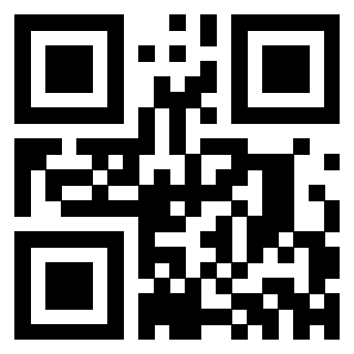 QrCode di 3302529806