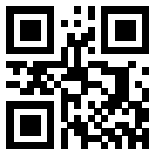 Il Qr Code di 3302529888
