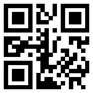 3302529911 - Immagine del QrCode