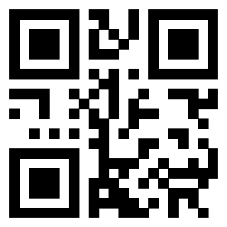 Il Qr Code di 3302537338