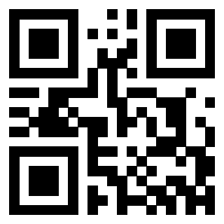 Il Qr Code di 3302583738