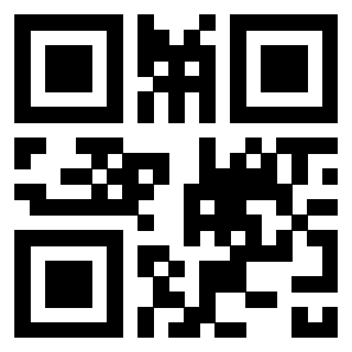 QrCode di 3302639733