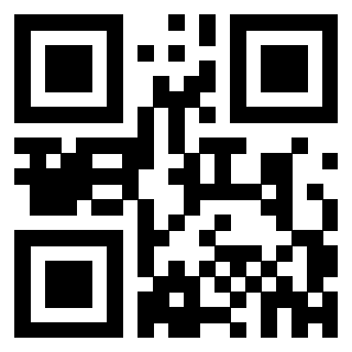 Il Qr Code di 3302639985