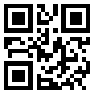 3302640125 Qr Code associato