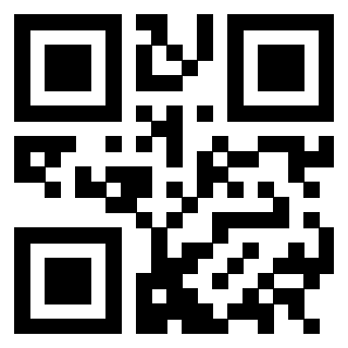 3302640248 - Immagine del QrCode