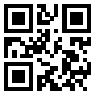 Il Qr Code di 3302758997