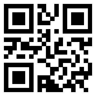 QrCode di 3302766179