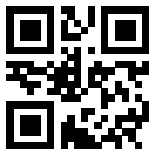 QrCode di 3302797276