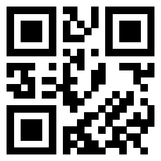 Il Qr Code di 3302828461