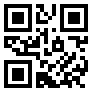 3302828531 - Immagine del QrCode