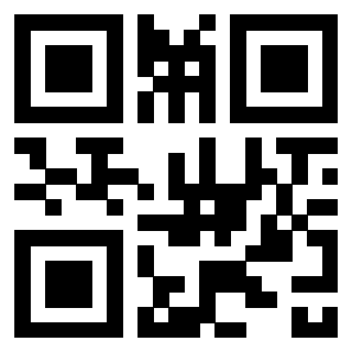 Il Qr Code di 3302828552