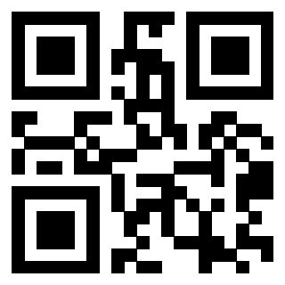 Il Qr Code di 3302828572
