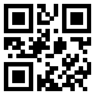 Il Qr Code di 3302828576