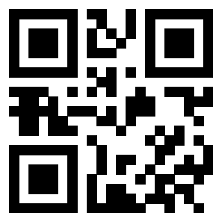Il Qr Code di 3302828592
