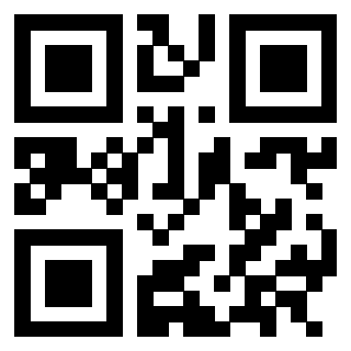 QrCode di 3302828743