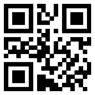 3302829040 - Immagine del QrCode associato