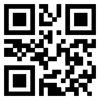Il Qr Code di 3302857613