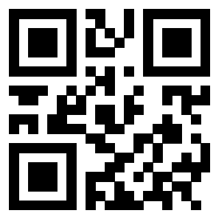 Il Qr Code di 3302857958