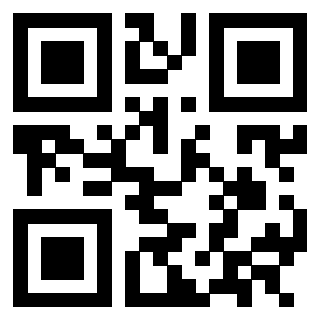 3302857993 - Immagine del QrCode