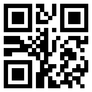 Il Qr Code di 3302858033