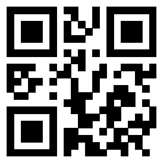 QrCode di 3302858165