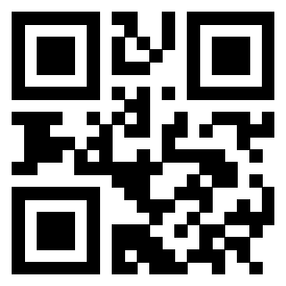 QrCode di 3302858174