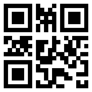 QrCode di 3302893758