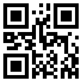 QrCode di 3302893811