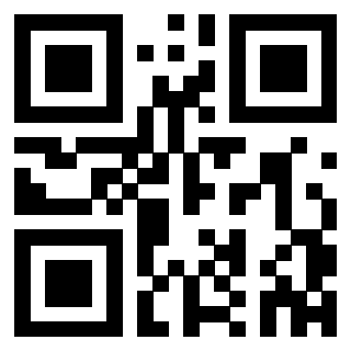 Il Qr Code di 3302893919