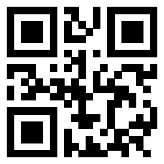 3302894047 - Immagine del QrCode